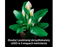 LEGO BOTANICALS 11504 Skrzydłokwiat - 1473410 - zdjęcie 6